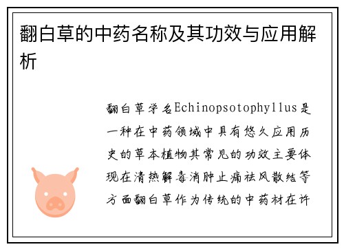 翻白草的中药名称及其功效与应用解析