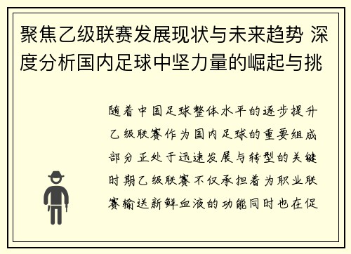 聚焦乙级联赛发展现状与未来趋势 深度分析国内足球中坚力量的崛起与挑战